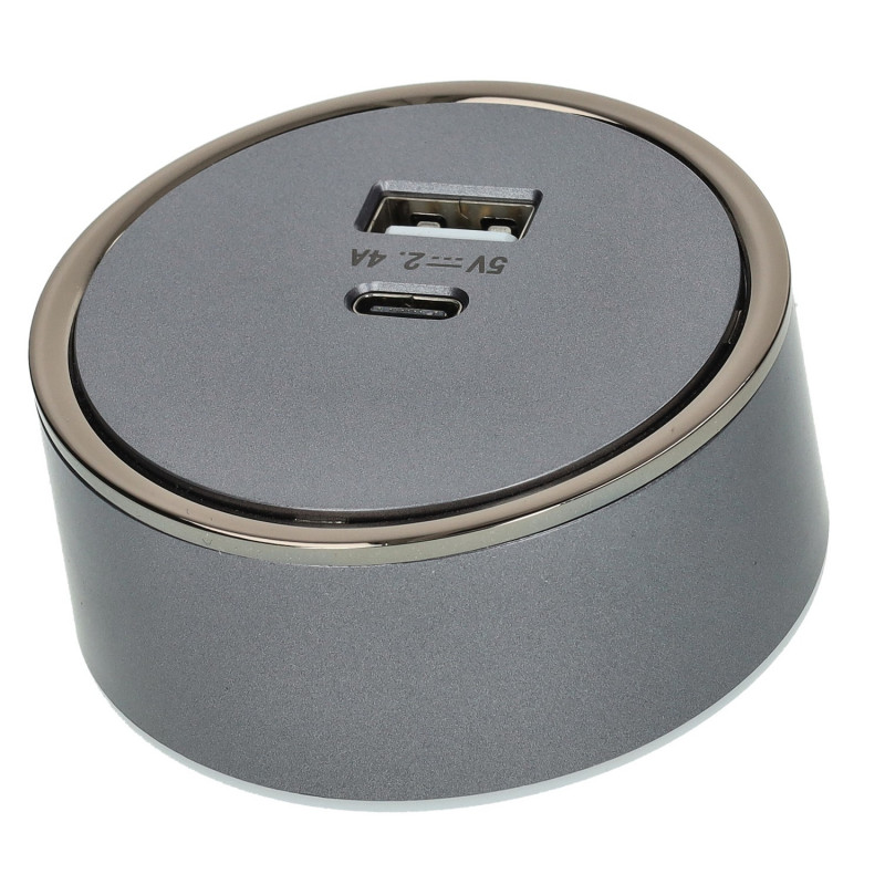 Ficha USB A+C para carril 2,4A