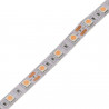 Bande LED 12V 5m spécial boucherie