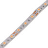 Tira Led 12V 5m especial carnicerías