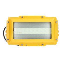 Projector LED ATEX 20W IP65