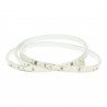 LED strip 220V 120 leds/m 14.4W/m self-rectifying
