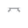 Ceiling lamp RING 2 grey