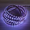 Tira Led 220V alto brilho RGB