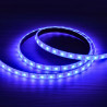 Bande LED RGB 12V 14,4W/m IP68 submersible