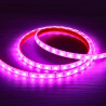 Bande LED RGB 12V 14,4W/m IP68 submersible