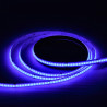 Bande led COB 24V RGB 5m 576 LED/m IP20