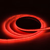 Fita conduzida COB 24V RGB 5m 576 LED/m IP20