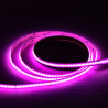 Bande led COB 24V RGB 5m 576 LED/m IP20
