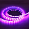 24V LED Strip - Waterproof, IP65, 14.4W/m, RGB