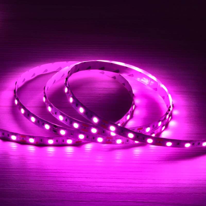Tira led 12V 5m especial carniceiros