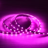 Tira led 12V 5m especial carniceiros