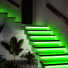 Bande Néon flex 12V 12W/m RGB