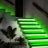 Neón flex 12V 12W/m RGB