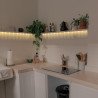 Bande LED 12V 5m 14,4W/m IP20
