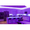 Tira Led RGBWW 12V 14.4W/m IP20