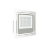100W ATEX canopy light surface/recessed for gas stations