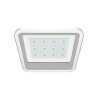 100W ATEX canopy light surface/recessed for gas stations