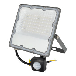 Projecteur LED plat 50 W IP66 avec détecteur de présence