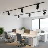 Rail Spotlight - Adjustable, 24W, Black
