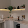 Bande LED 5m 12V 4,8W/m IP20