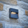 3W Step Light