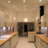 Downlight Led 7W argent