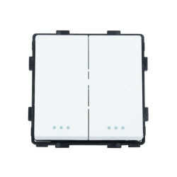Interruptor doble conmutado 10A