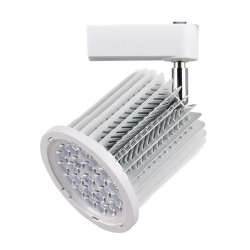 Rail Spotlight - Adjustable, 36W, White