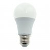 Ampoule 12W E27