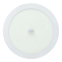 Ceiling Light - 18W, Night Function Presence Detector