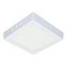 LED Ceiling Light - Square, 12W