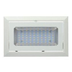 Ceiling Floodlight - 30W, Directional, Square