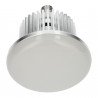 Industrial led light 50W