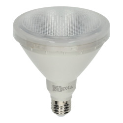 12W LED PAR38 - COLORS
