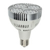 PAR30 35W Osram Chip
