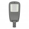 100W LED STREETLIGHT LUMILEDS - MEAN WELL