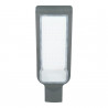 ​Rua Led farola 100W
