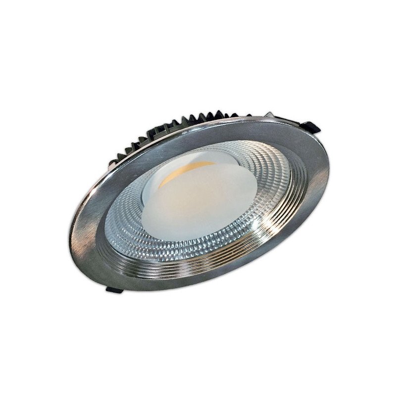 Proyector Led techo redondo plateado 30W luz blanca