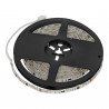 Tira magic 12V IP65 RGB
