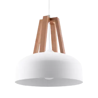 Pendant Lamps